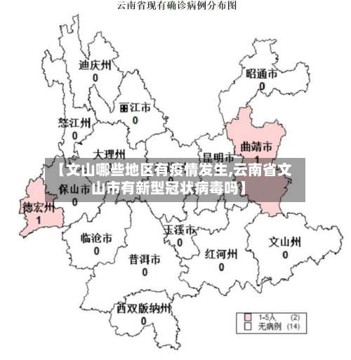 【文山哪些地区有疫情发生,云南省文山市有新型冠状病毒吗】-第1张图片