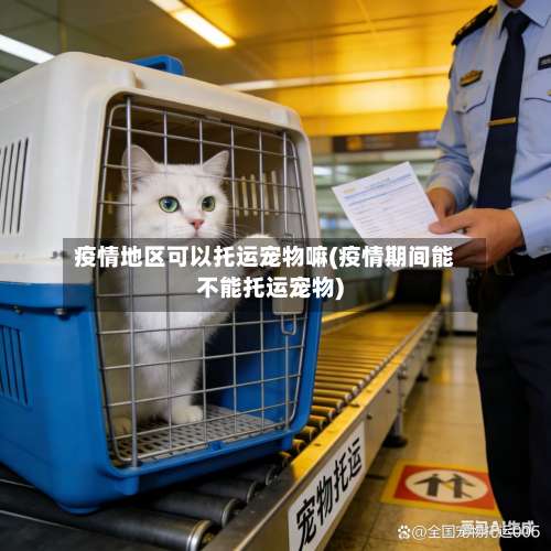 疫情地区可以托运宠物嘛(疫情期间能不能托运宠物)-第2张图片