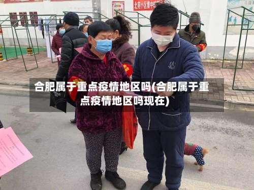 合肥属于重点疫情地区吗(合肥属于重点疫情地区吗现在)-第1张图片