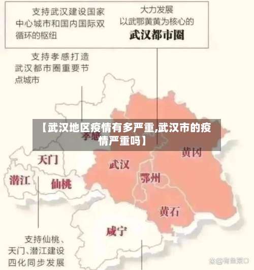 【武汉地区疫情有多严重,武汉市的疫情严重吗】-第2张图片