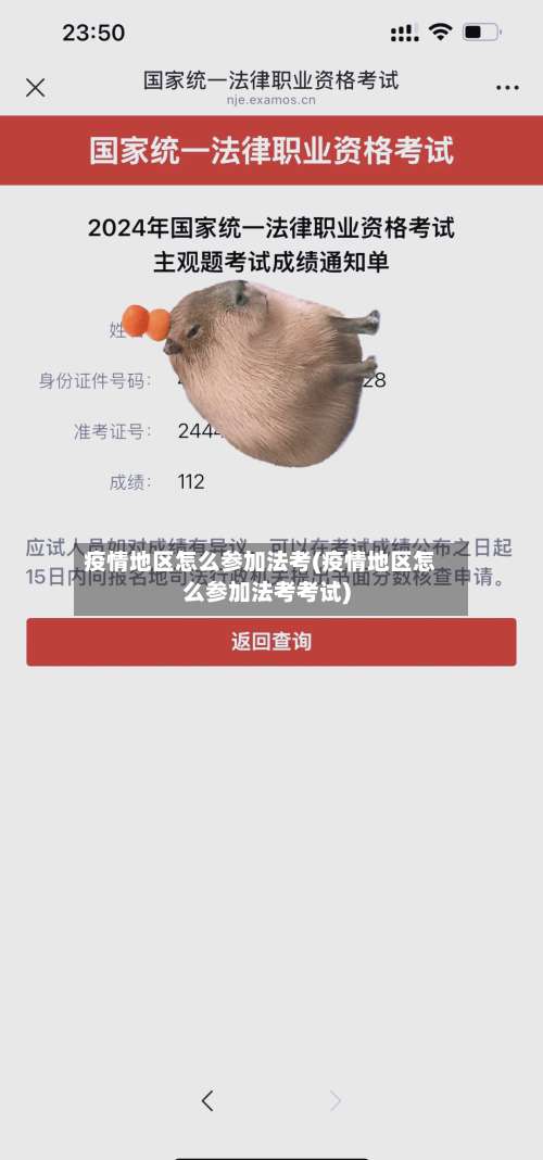 疫情地区怎么参加法考(疫情地区怎么参加法考考试)-第1张图片