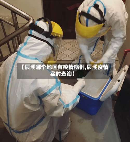 【辰溪哪个地区有疫情病例,辰溪疫情实时查询】-第3张图片