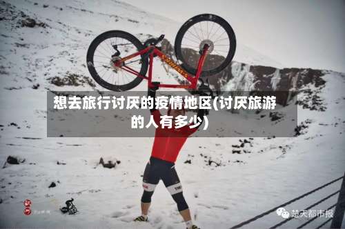 想去旅行讨厌的疫情地区(讨厌旅游的人有多少)-第2张图片