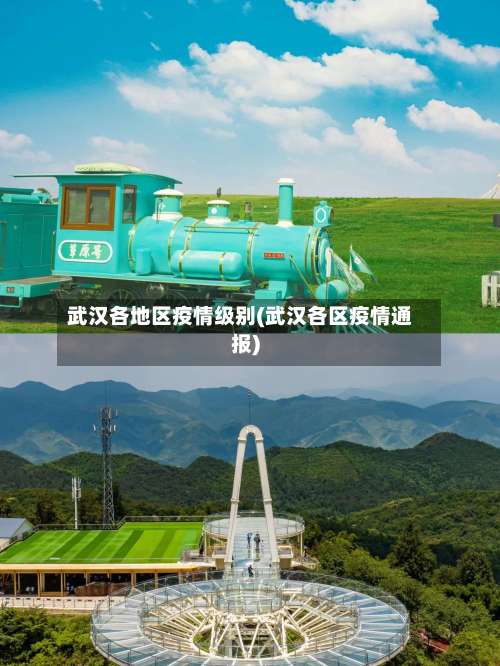 武汉各地区疫情级别(武汉各区疫情通报)-第1张图片