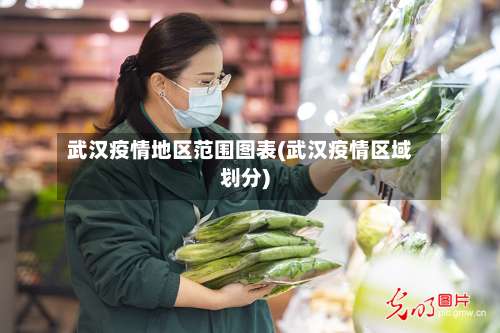 武汉疫情地区范围图表(武汉疫情区域划分)-第2张图片