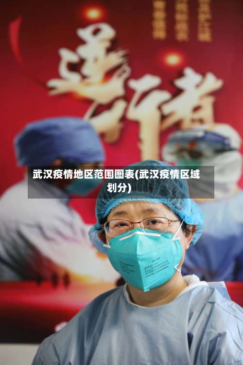 武汉疫情地区范围图表(武汉疫情区域划分)-第1张图片