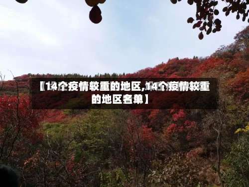 【14个疫情较重的地区,14个疫情较重的地区名单】-第3张图片