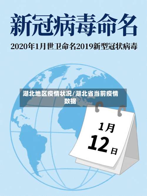 湖北地区疫情状况/湖北省当前疫情数据-第1张图片