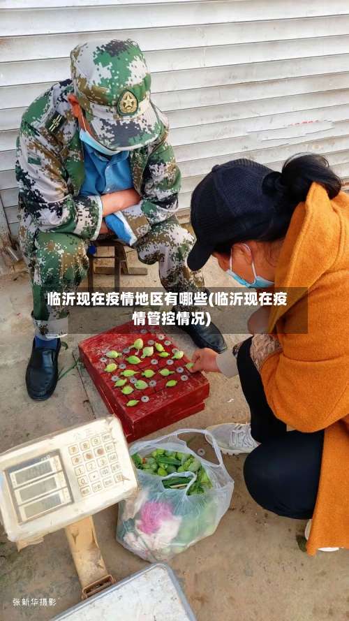 临沂现在疫情地区有哪些(临沂现在疫情管控情况)-第2张图片