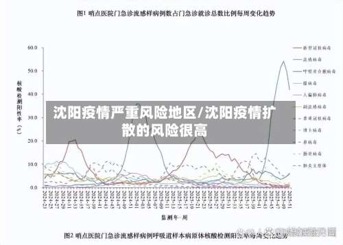 沈阳疫情严重风险地区/沈阳疫情扩散的风险很高-第2张图片