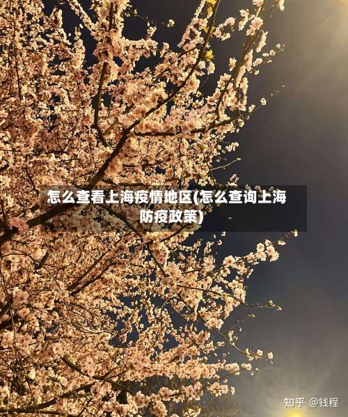 怎么查看上海疫情地区(怎么查询上海防疫政策)-第1张图片