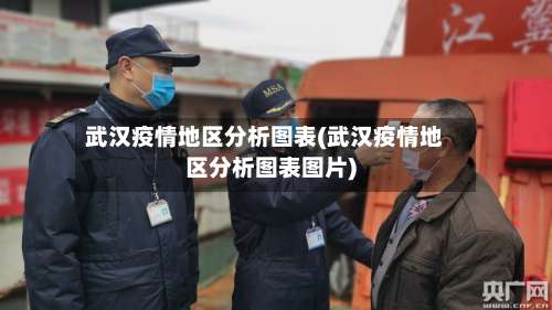 武汉疫情地区分析图表(武汉疫情地区分析图表图片)-第2张图片