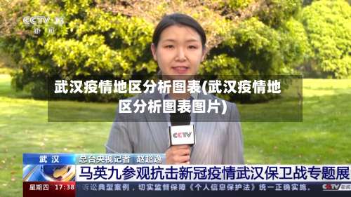 武汉疫情地区分析图表(武汉疫情地区分析图表图片)-第1张图片