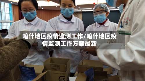 喀什地区疫情监测工作/喀什地区疫情监测工作方案最新-第2张图片