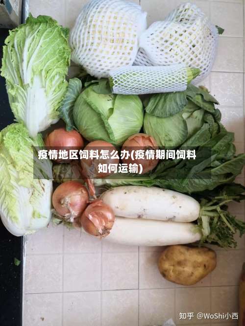 疫情地区饲料怎么办(疫情期间饲料如何运输)-第2张图片