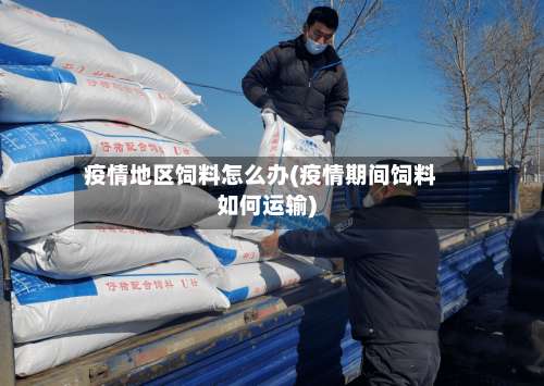 疫情地区饲料怎么办(疫情期间饲料如何运输)-第3张图片