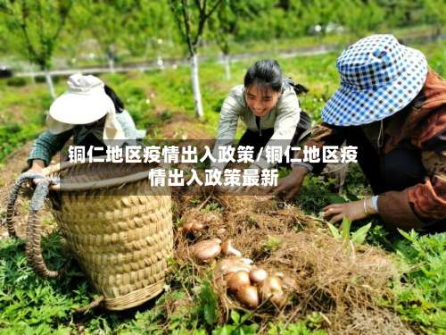 铜仁地区疫情出入政策/铜仁地区疫情出入政策最新-第1张图片