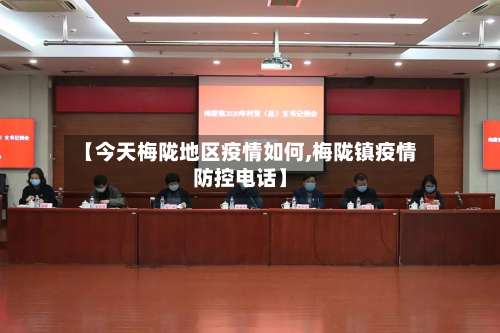 【今天梅陇地区疫情如何,梅陇镇疫情防控电话】-第1张图片