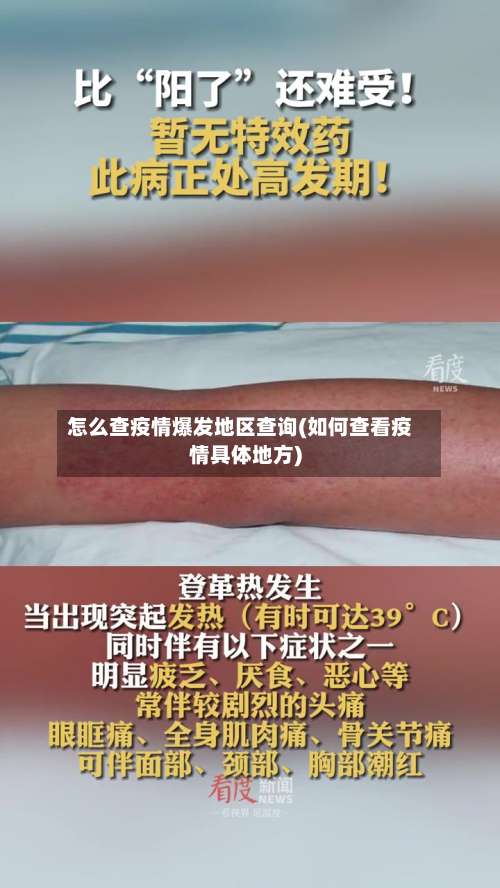 怎么查疫情爆发地区查询(如何查看疫情具体地方)-第2张图片
