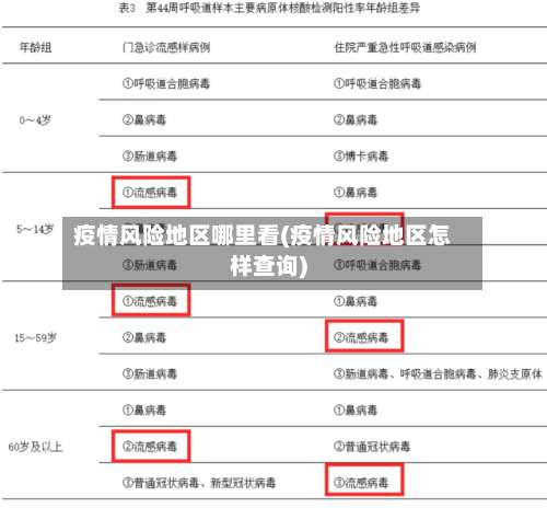 疫情风险地区哪里看(疫情风险地区怎样查询)-第2张图片