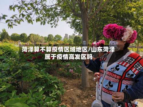 菏泽算不算疫情区域地区/山东菏泽属于疫情高发区吗-第2张图片