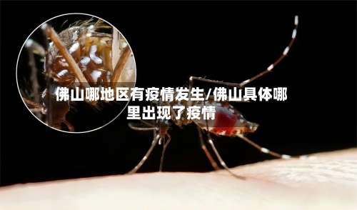 佛山哪地区有疫情发生/佛山具体哪里出现了疫情-第3张图片