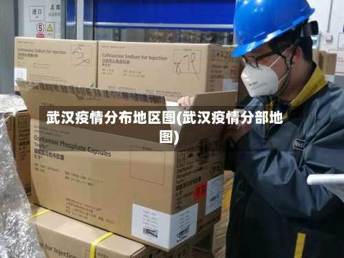 武汉疫情分布地区图(武汉疫情分部地图)-第2张图片