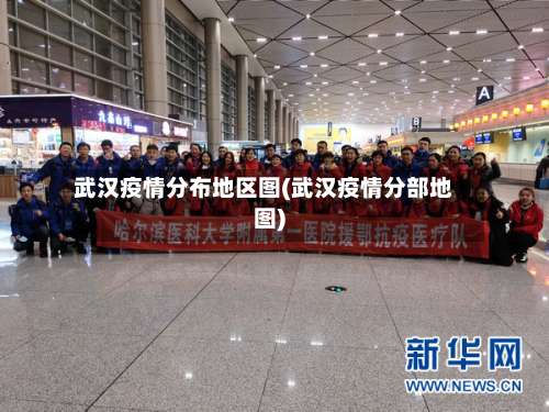 武汉疫情分布地区图(武汉疫情分部地图)-第1张图片
