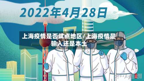上海疫情是否试点地区/上海疫情是输入还是本土-第2张图片