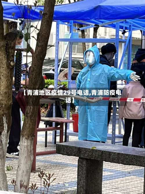 【青浦地区疫情29号电话,青浦防疫电话】-第1张图片