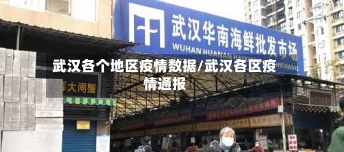 武汉各个地区疫情数据/武汉各区疫情通报-第2张图片