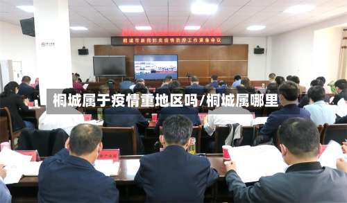 桐城属于疫情重地区吗/桐城属哪里-第1张图片