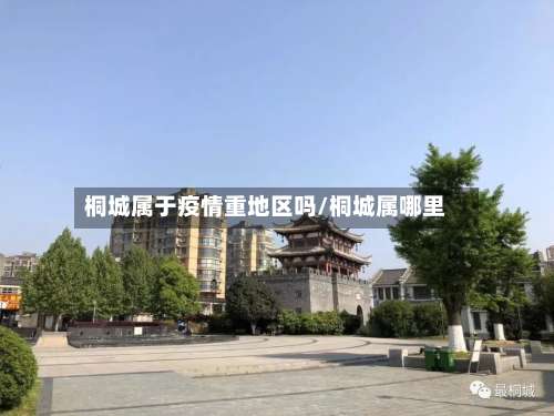 桐城属于疫情重地区吗/桐城属哪里-第2张图片