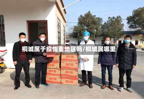 桐城属于疫情重地区吗/桐城属哪里-第3张图片