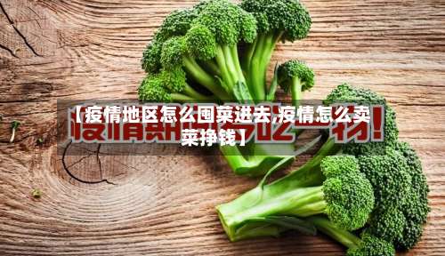 【疫情地区怎么囤菜进去,疫情怎么卖菜挣钱】-第3张图片