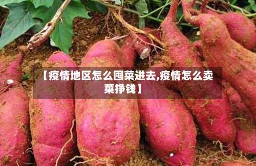 【疫情地区怎么囤菜进去,疫情怎么卖菜挣钱】-第2张图片