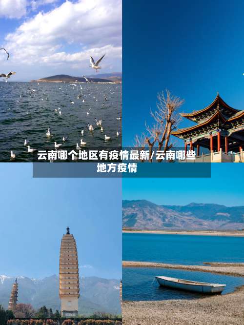 云南哪个地区有疫情最新/云南哪些地方疫情-第1张图片