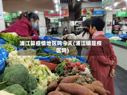 浦江算疫情地区吗今天(浦江镇是疫区吗)-第3张图片