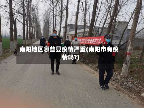 南阳地区哪些县疫情严重(南阳市有疫情吗?)-第2张图片