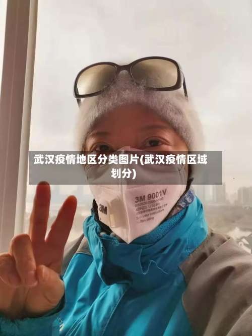 武汉疫情地区分类图片(武汉疫情区域划分)-第1张图片
