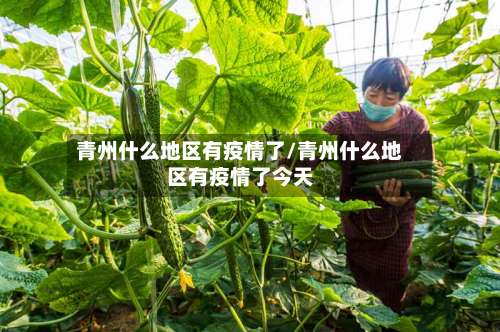 青州什么地区有疫情了/青州什么地区有疫情了今天-第2张图片