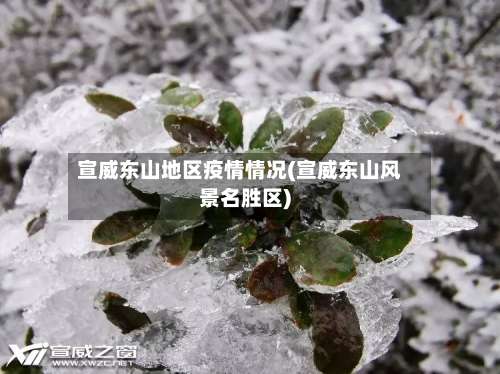 宣威东山地区疫情情况(宣威东山风景名胜区)-第1张图片