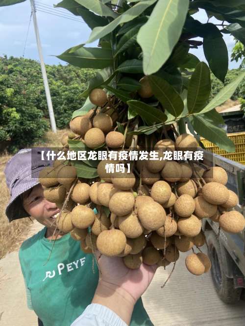 【什么地区龙眼有疫情发生,龙眼有疫情吗】-第1张图片