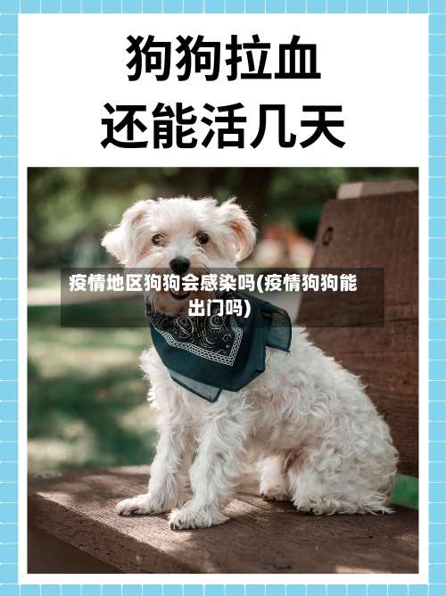 疫情地区狗狗会感染吗(疫情狗狗能出门吗)-第1张图片