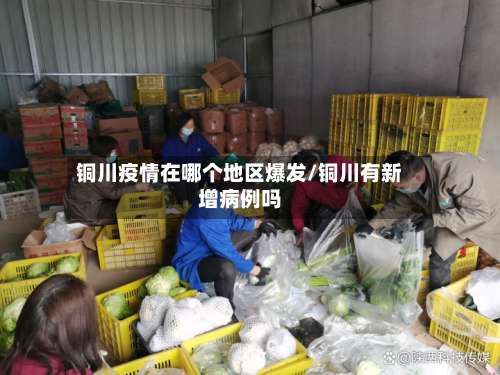 铜川疫情在哪个地区爆发/铜川有新增病例吗-第2张图片