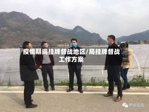 疫情期间挂牌督战地区/局挂牌督战工作方案-第3张图片