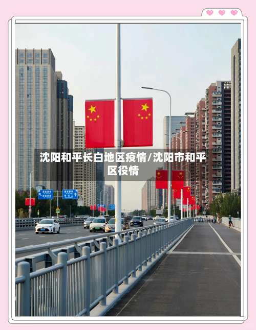 沈阳和平长白地区疫情/沈阳市和平区役情-第3张图片