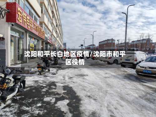 沈阳和平长白地区疫情/沈阳市和平区役情-第1张图片