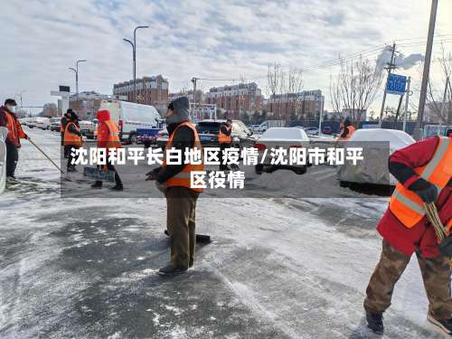 沈阳和平长白地区疫情/沈阳市和平区役情-第2张图片