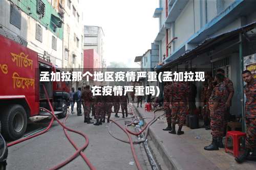 孟加拉那个地区疫情严重(孟加拉现在疫情严重吗)-第2张图片